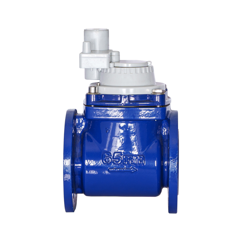 WPH DN50-DN200 Meter Air Bersepadu Bukan Magnet Boleh Cabut Mendatar Sayap Skru