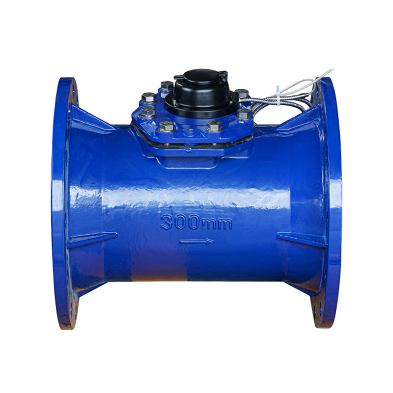LXLC-DN50-DN500 Meter Air Boleh Cabut Mendatar